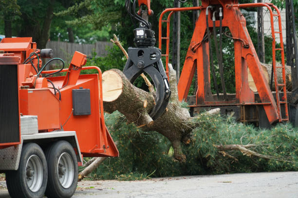 Lawn Drainage Solutions in Erin, TN